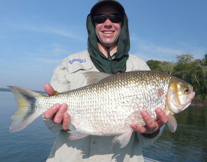 Amazon Wolf Fish Fishing Trip Vacation Brazil Rio Juruena Lodge Amazon Angler