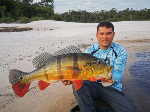 Caño Bocón Peacock Bass Trip - Fishing Vacation Colombia | Amazon Angler