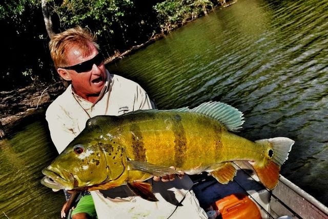 River Fish – A Game Angler's Species Guide